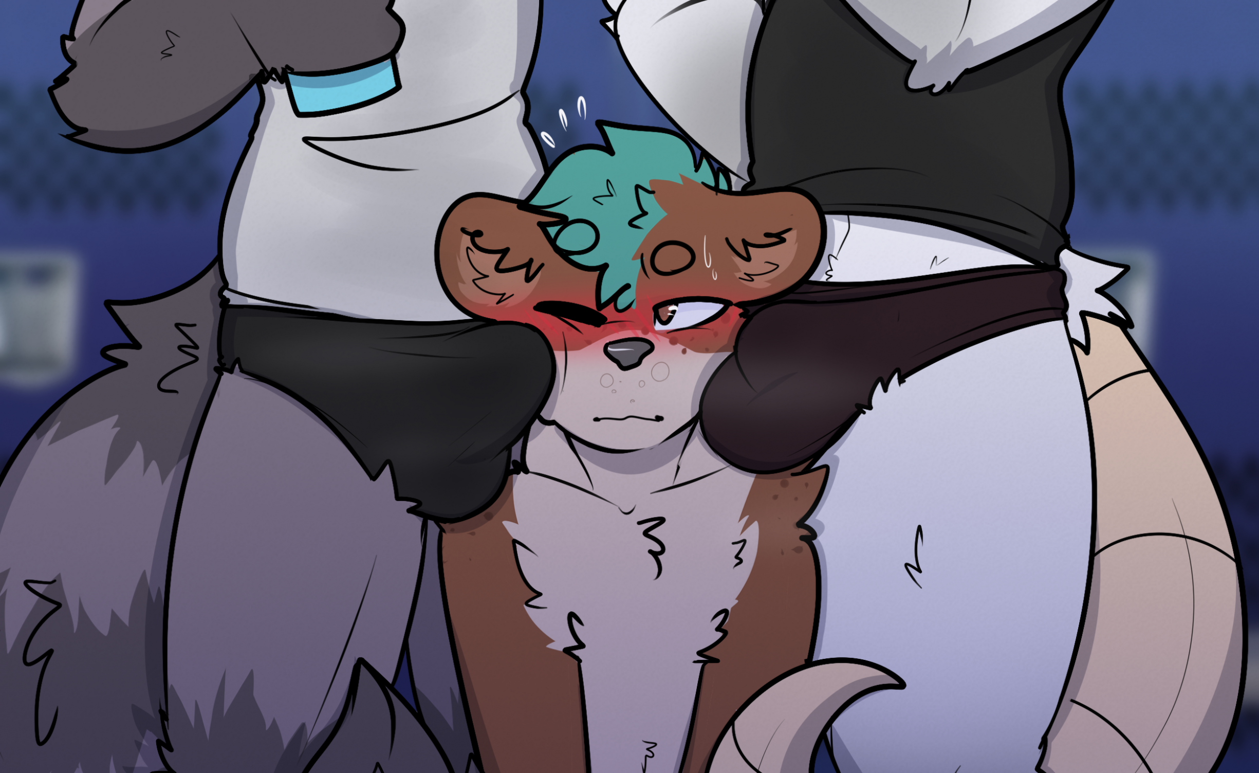 American Opossum Rule 34 Image