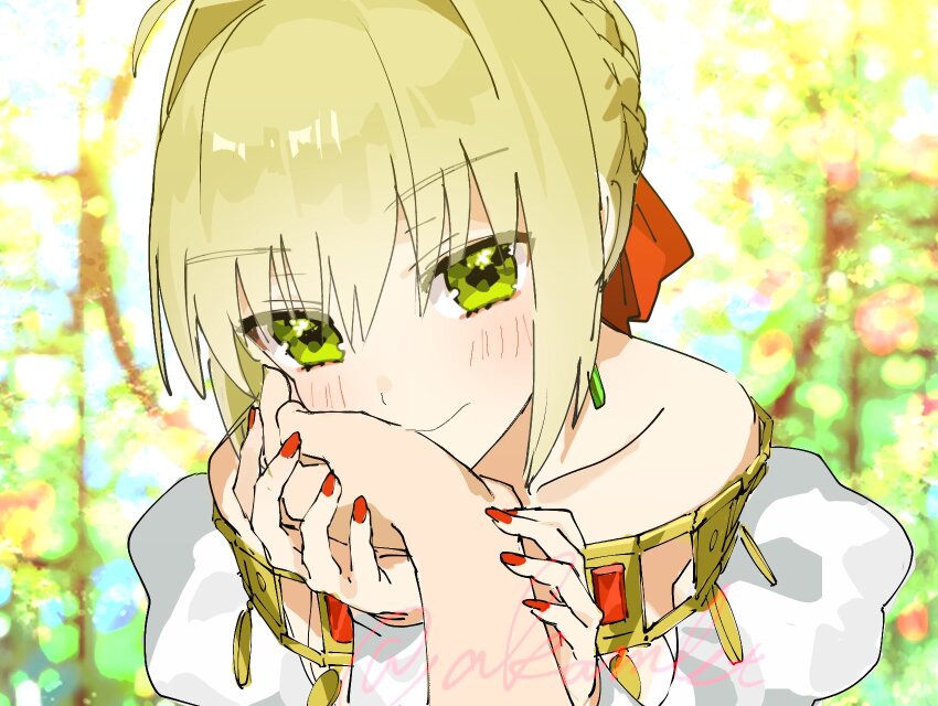 Nero Claudius (Fate) Rule 34 Image