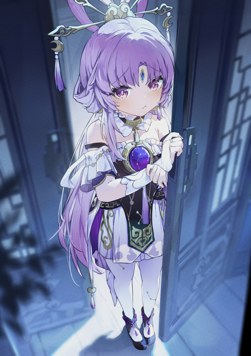 Fu Xuan (Honkai: Star Rail) Rule 34 Image
