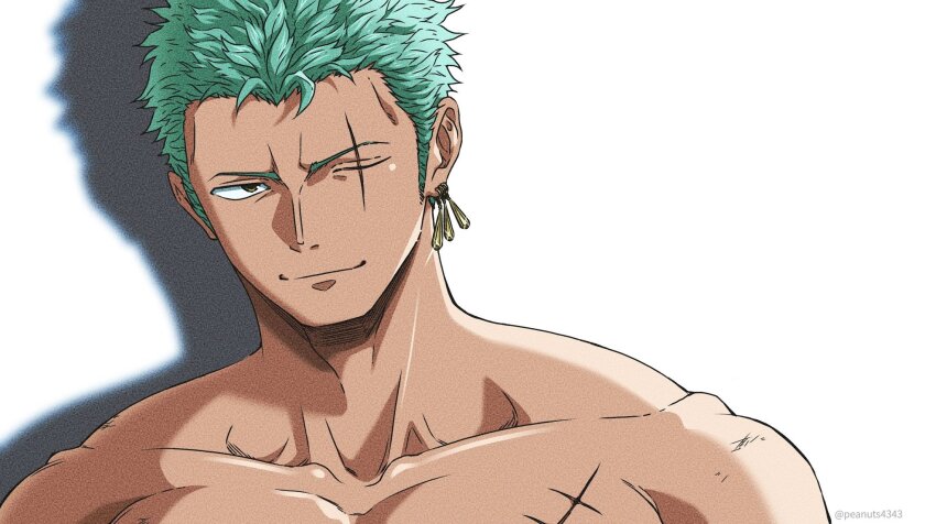 Roronoa Zoro (One Piece) Rule 34 Image