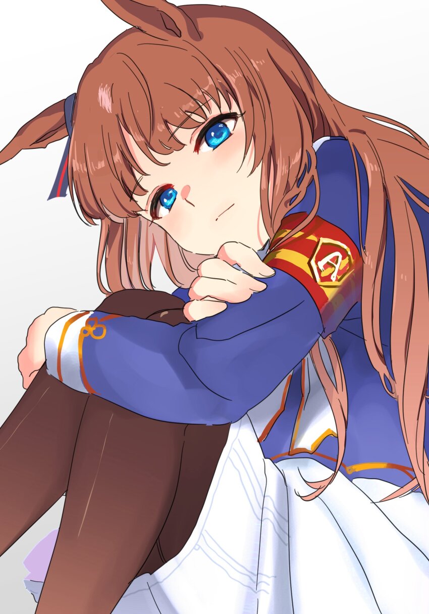 Grass Wonder (Umamusume) Rule 34 Image