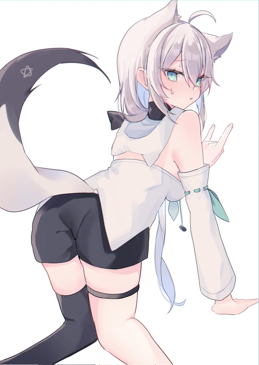 Shirakami Fubuki (Hololive) Rule 34 Image