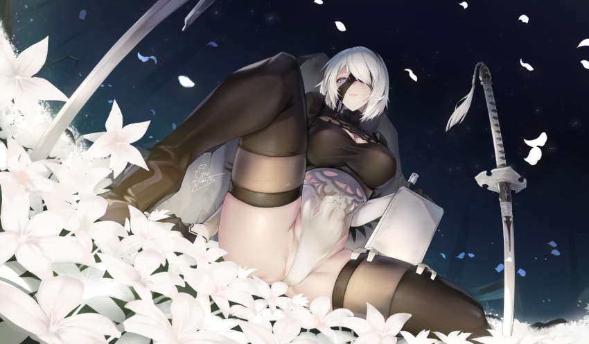 2b (Nier:Automata) Rule 34 Image