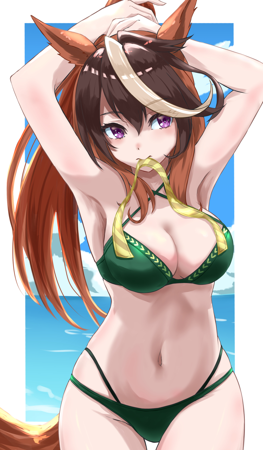 Symboli Rudolf (Umamusume) Rule 34 Image