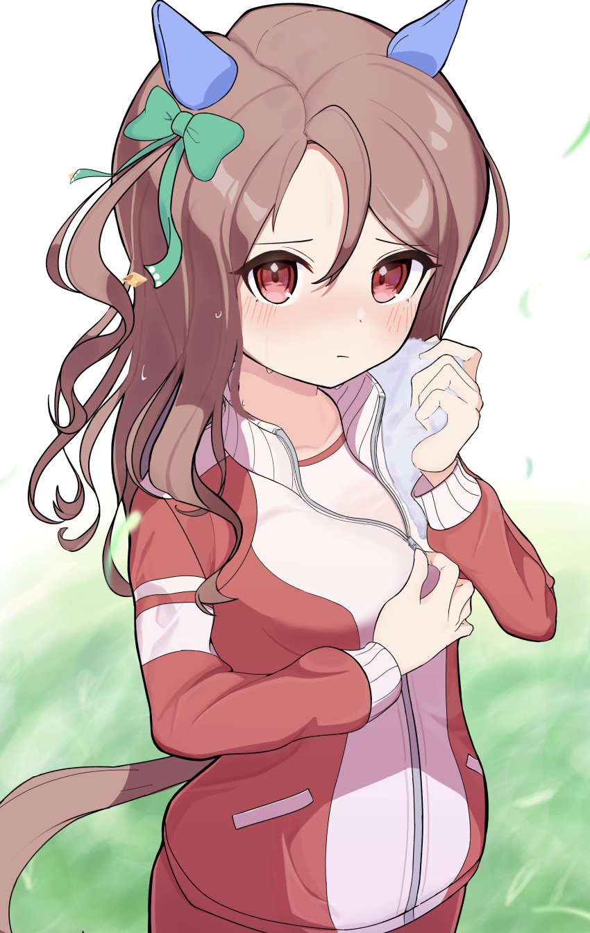 King Halo (Umamusume) Rule 34 Image