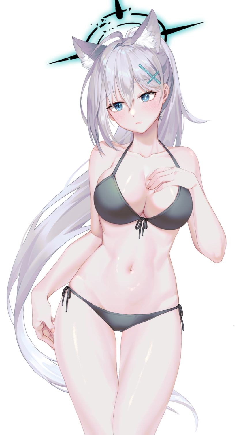 Shiroko Terror (Blue Archive) Rule 34 Image