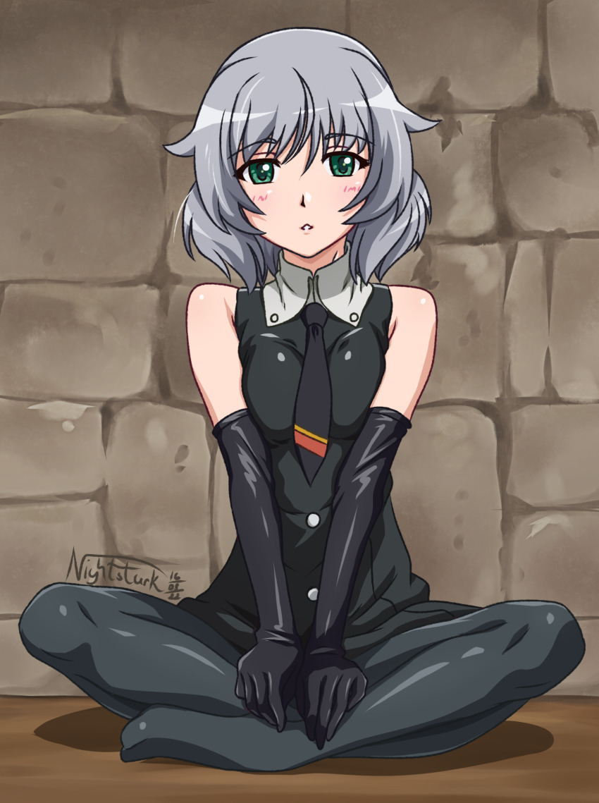 Sanya V. Litvyak (Strike Witches) Rule 34 Image