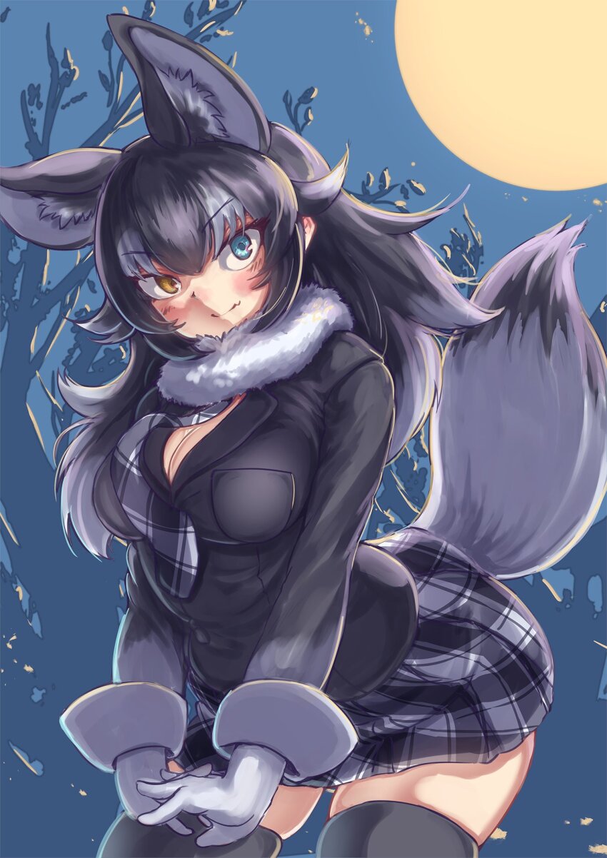 Grey Wolf (Kemono Friends) Rule 34 Image