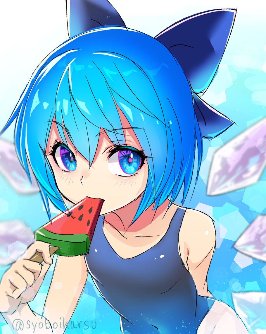 Cirno (Touhou) Rule 34 Image