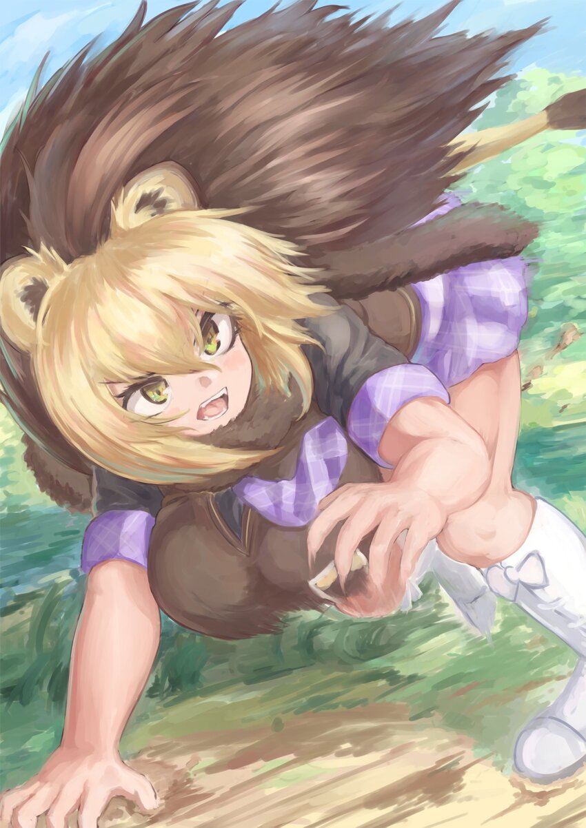 Barbary Lion (Kemono Friends) Rule 34 Image