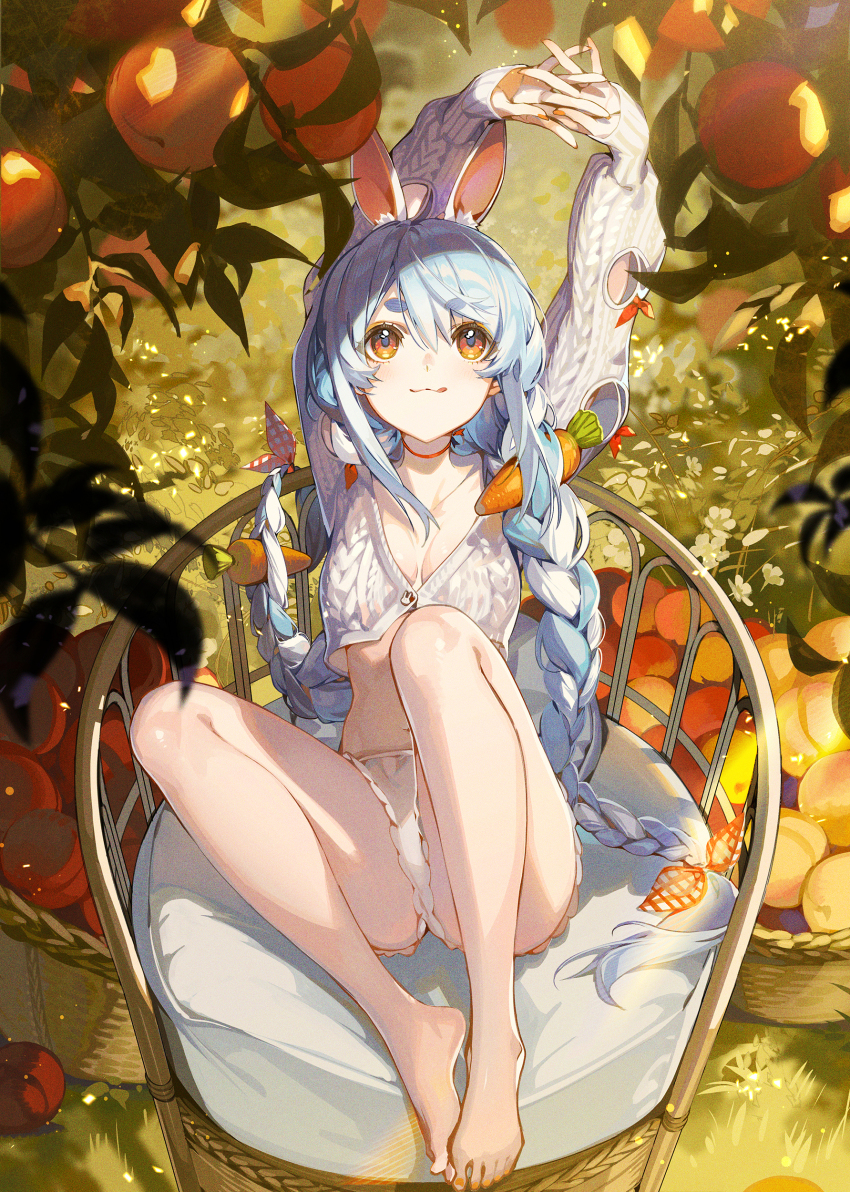 Usada Pekora (Hololive) Rule 34 Image