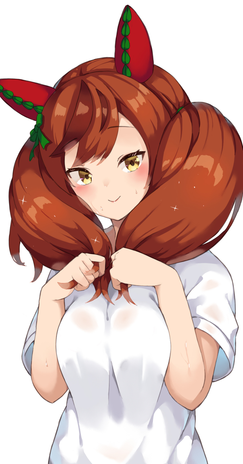 Nice Nature (Umamusume) Rule 34 Image