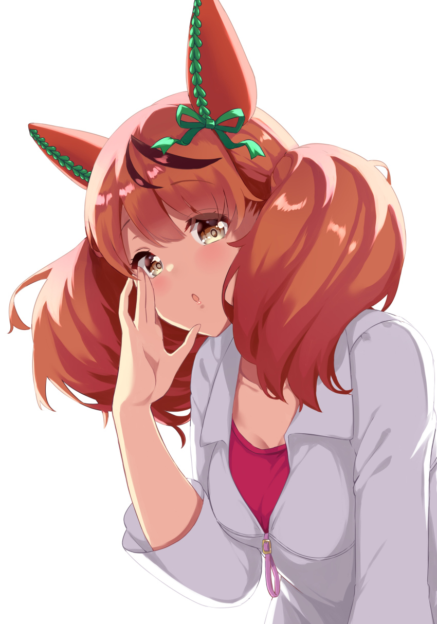 Nice Nature (Umamusume) Rule 34 Image