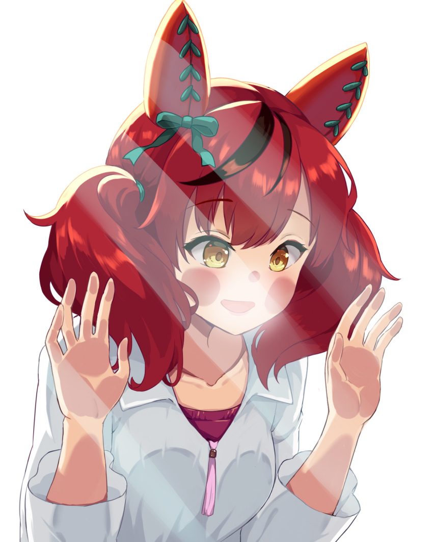Nice Nature (Umamusume) Rule 34 Image