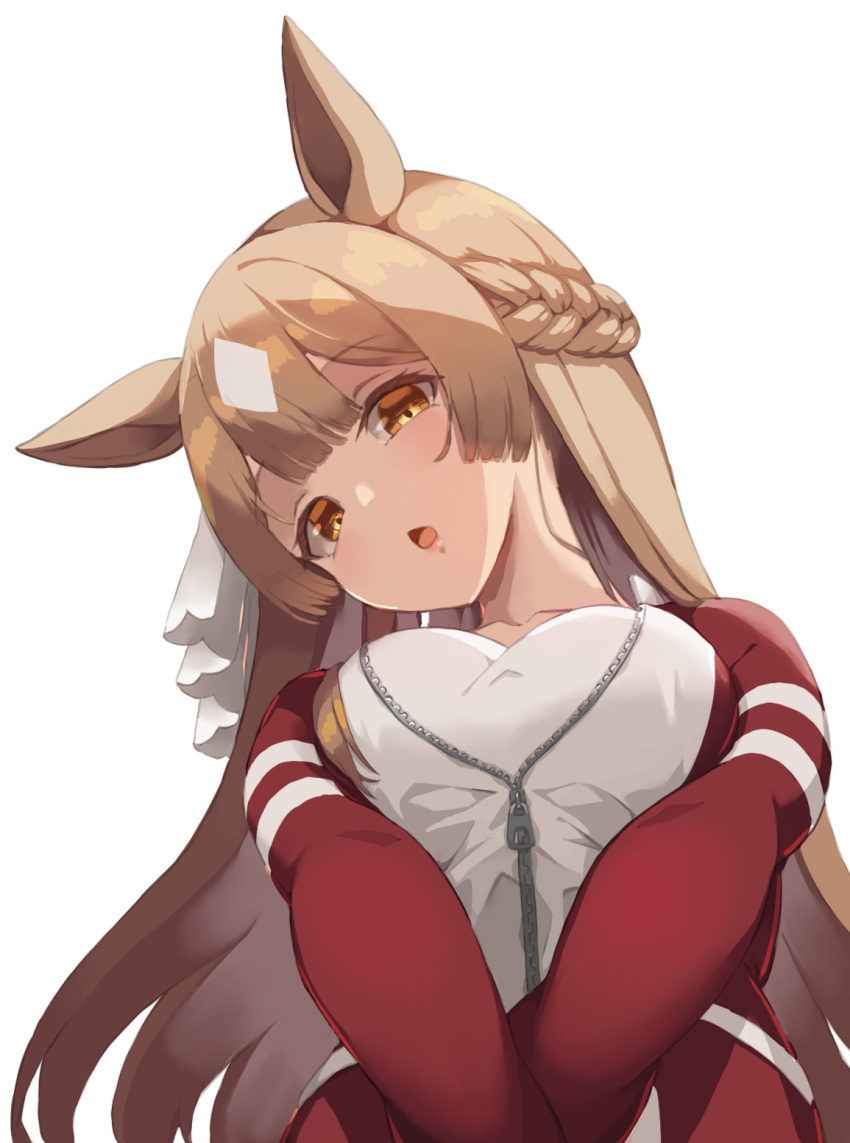 Satono Diamond (Umamusume) Rule 34 Image