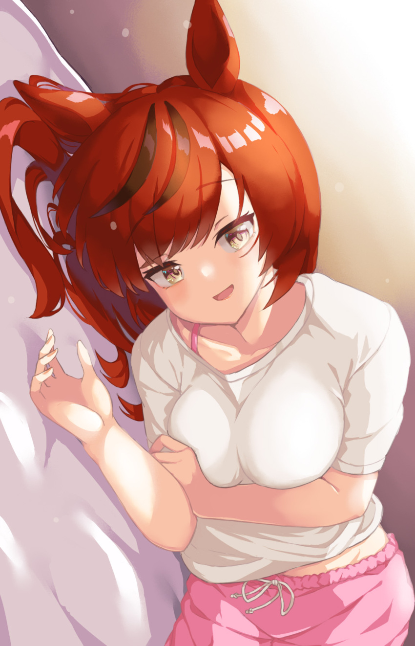 Nice Nature (Umamusume) Rule 34 Image