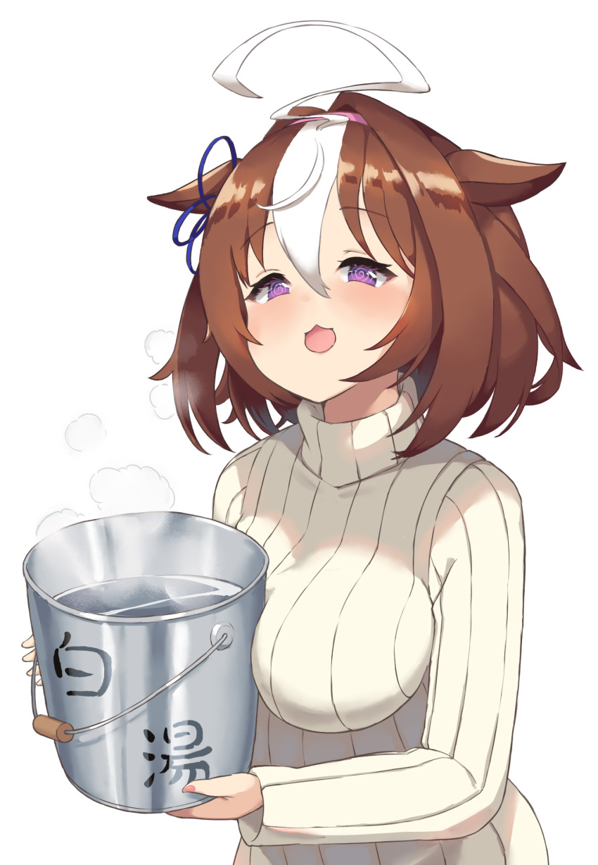 Meisho Doto (Umamusume) Rule 34 Image