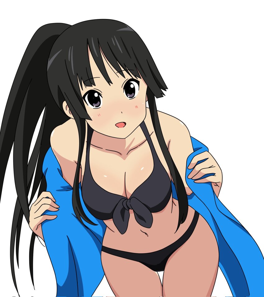 Akiyama Mio Rule 34 Image