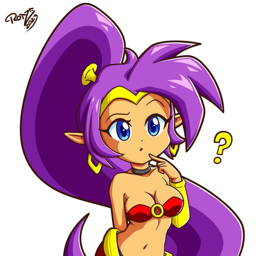 Shantae Rule 34 Image