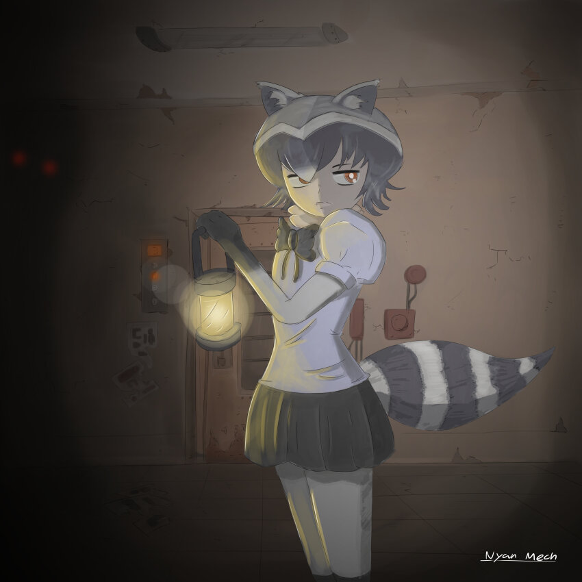 Common Raccoon (Kemono Friends) Rule 34 Image