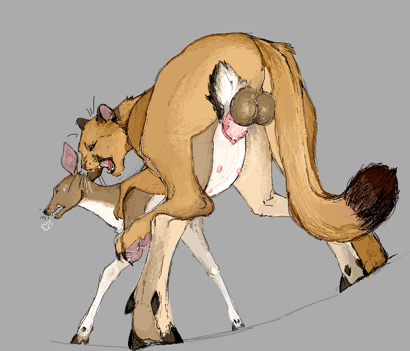 Anus Rule 34 Image