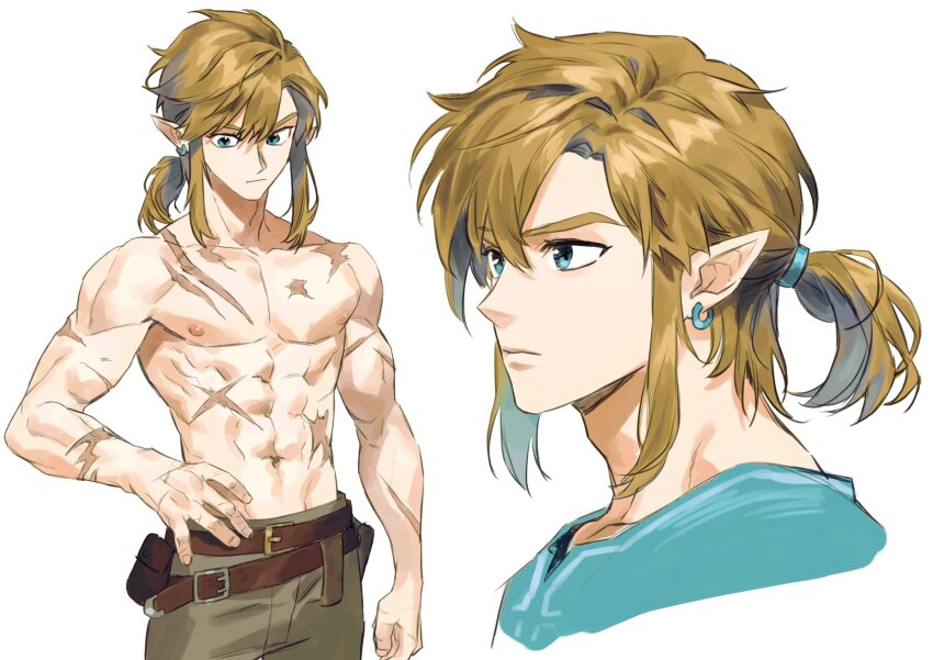 Link (Nintendo) Rule 34 Image