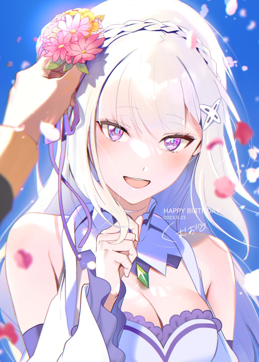 Emilia (Re:Zero) Rule 34 Image
