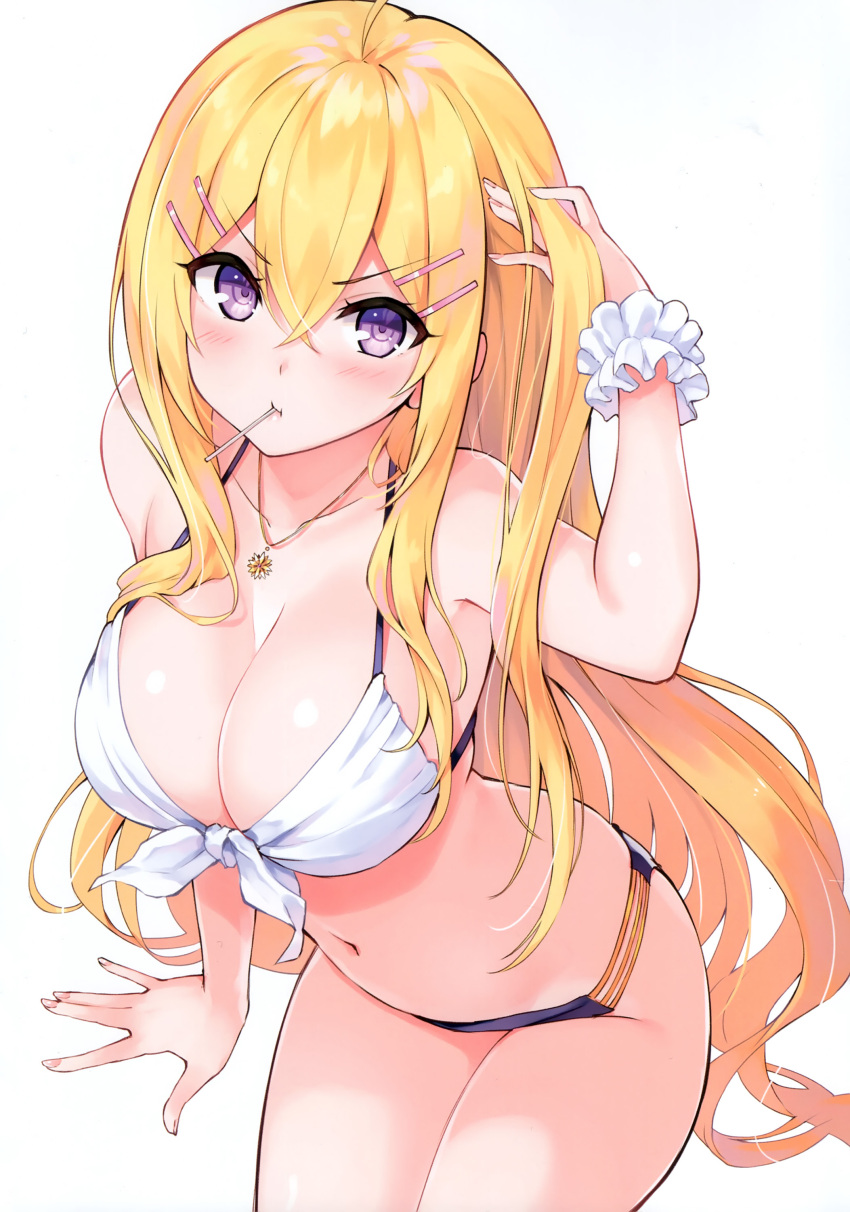 Hakurei Botan (Cu-No) Rule 34 Image