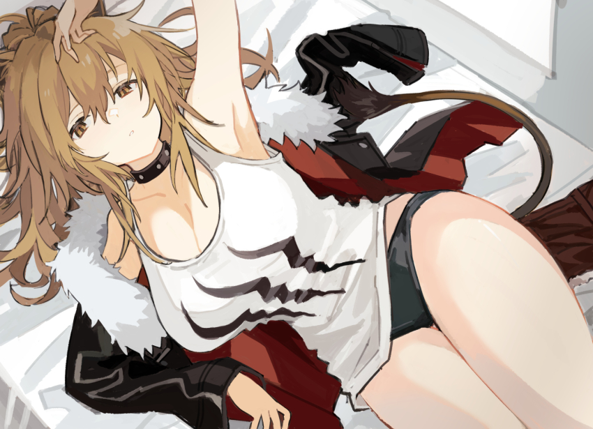 Siege (Arknights) Rule 34 Image