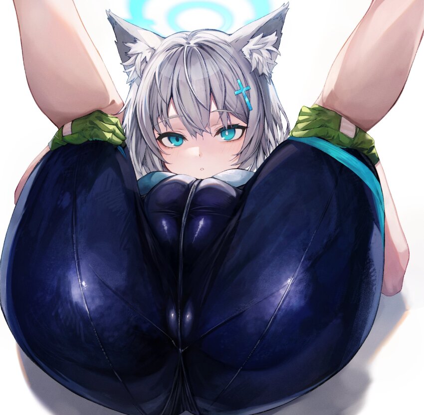 Shiroko (Blue Archive) Rule 34 Image
