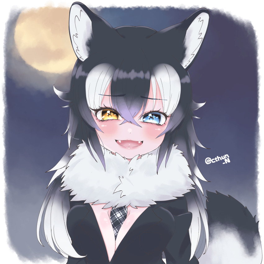 Grey Wolf (Kemono Friends) Rule 34 Image