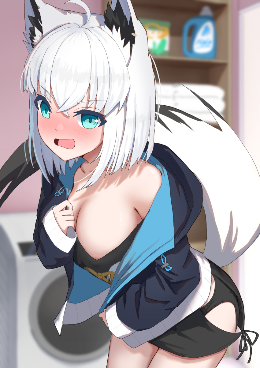 Shirakami Fubuki (Hololive) Rule 34 Image