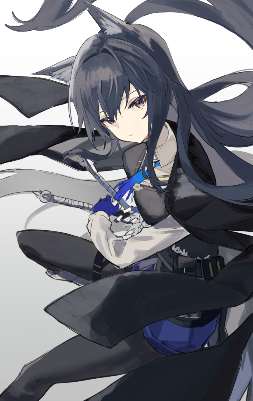 Texas (Arknights) Rule 34 Image