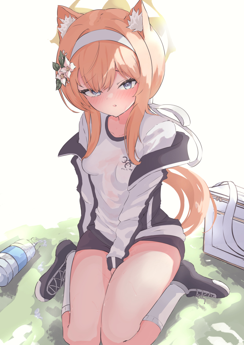 Mari (Blue Archive) Rule 34 Image