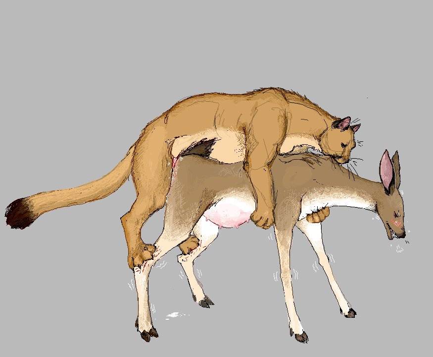 Anus Rule 34 Image