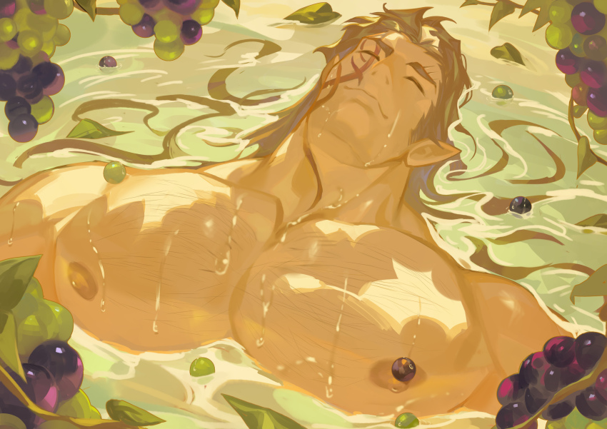 Halsin (Baldur'S Gate) Rule 34 Image