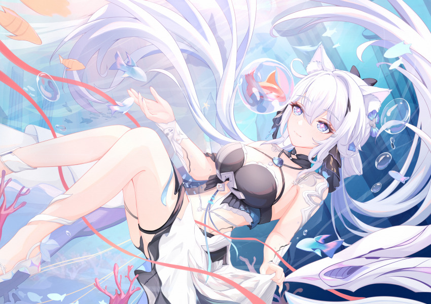 Kiana Kaslana (Honkai (Series)) Rule 34 Image