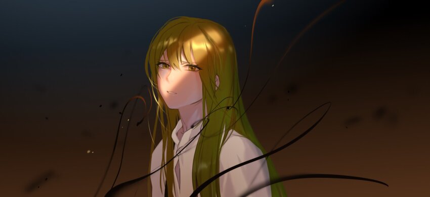 Enkidu (Fate) Rule 34 Image