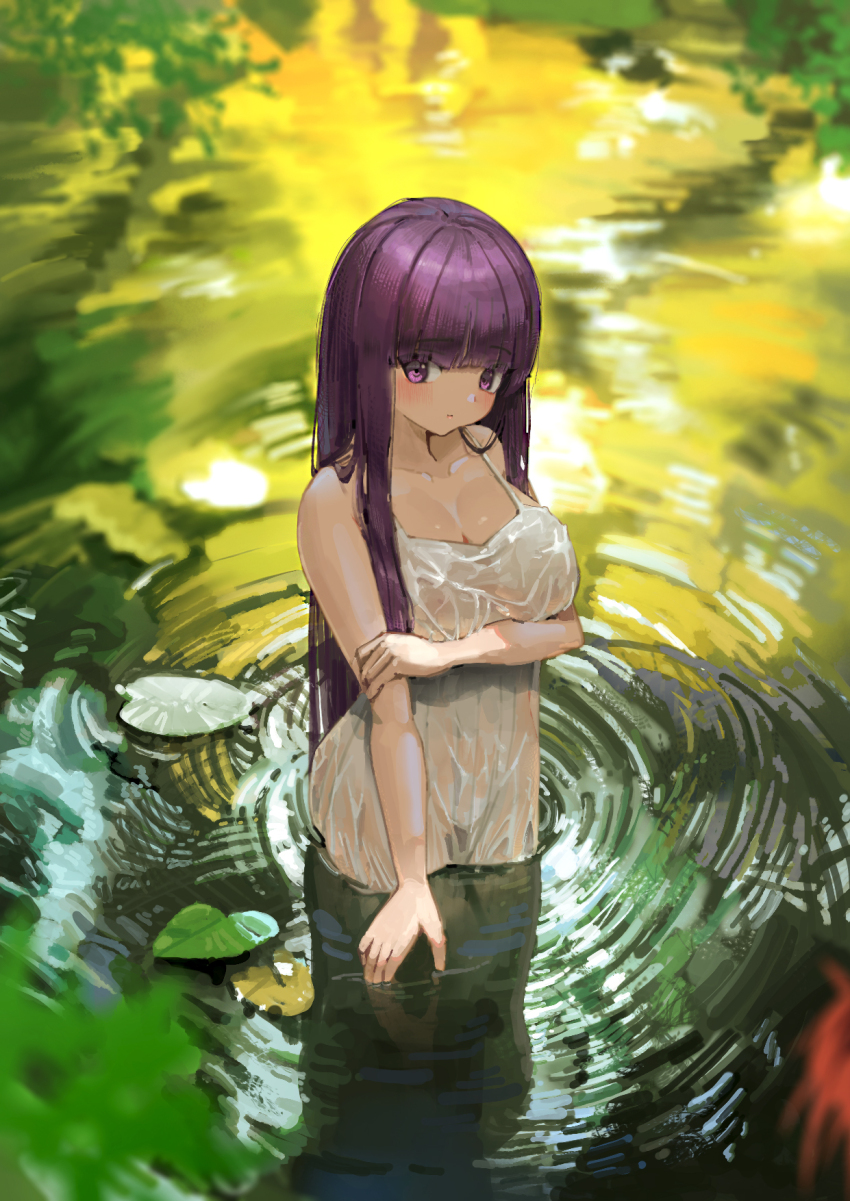 Fern (Sousou No Frieren) Rule 34 Image