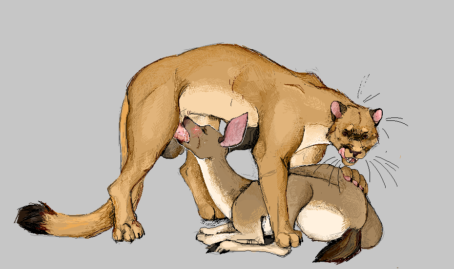 Anus Rule 34 Image
