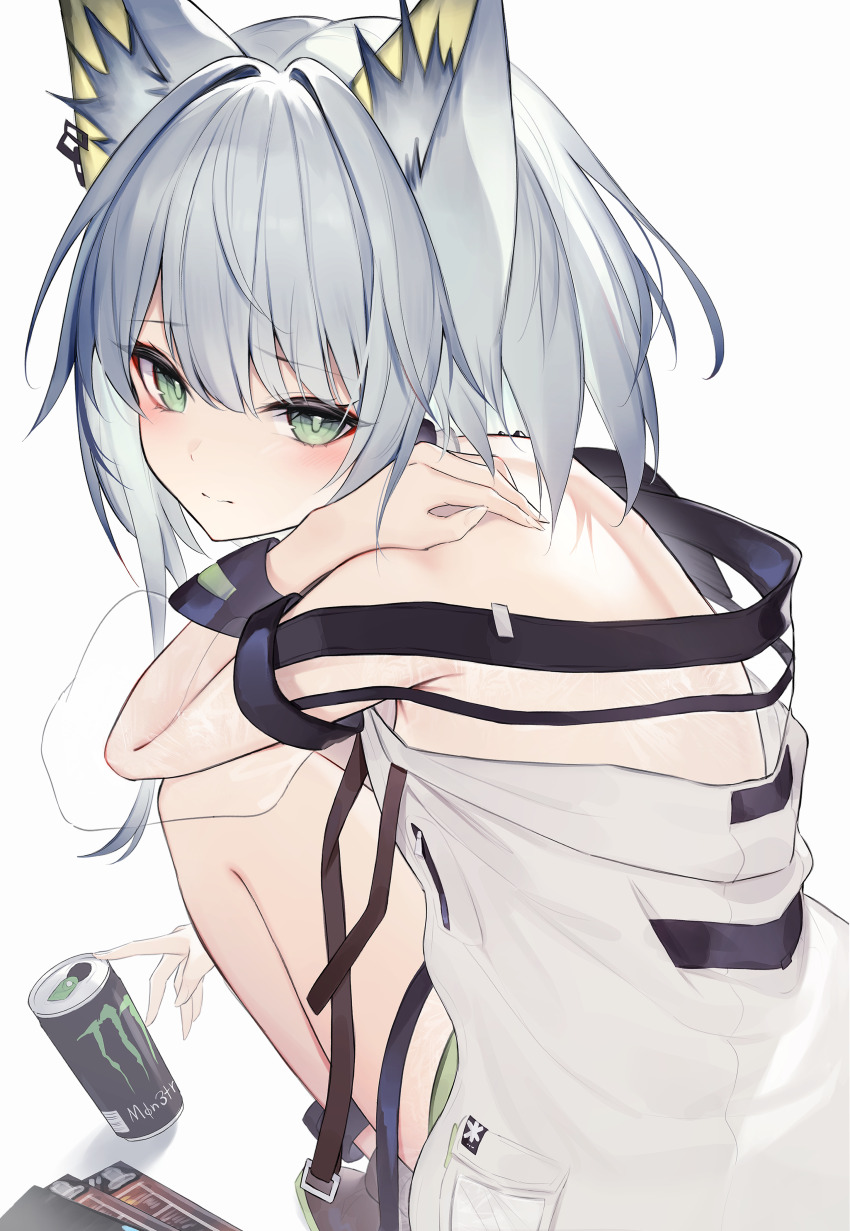 Kal'Tsit (Arknights) Rule 34 Image