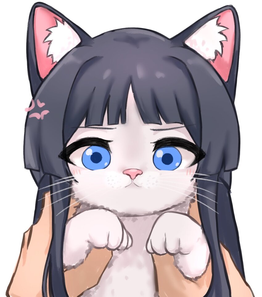 Mogami Shizuka (Idolmaster) Rule 34 Image