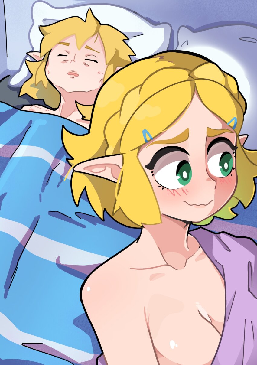 Link (Nintendo) Rule 34 Image