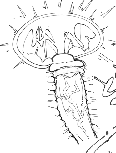 Original Character (Original) Rule 34 Image
