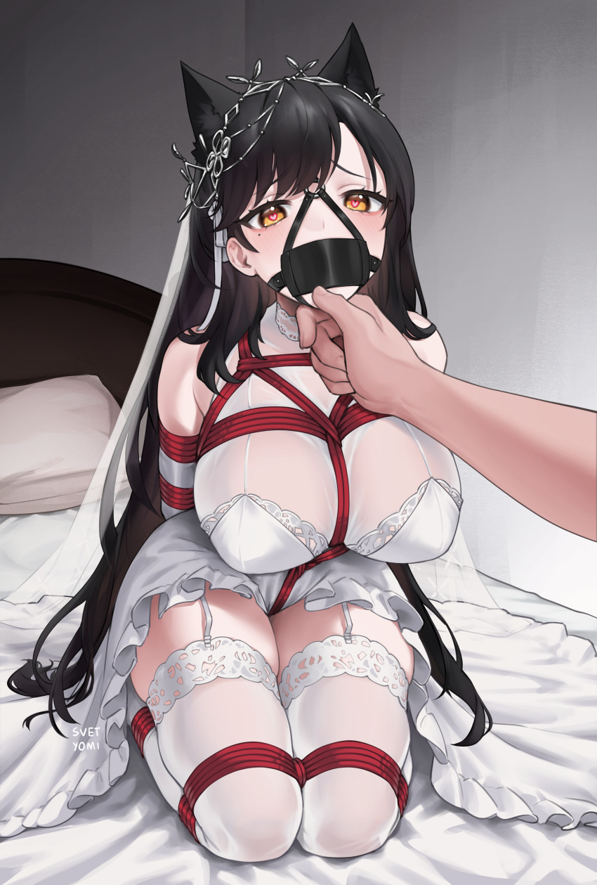 Atago (Azur Lane) Rule 34 Image