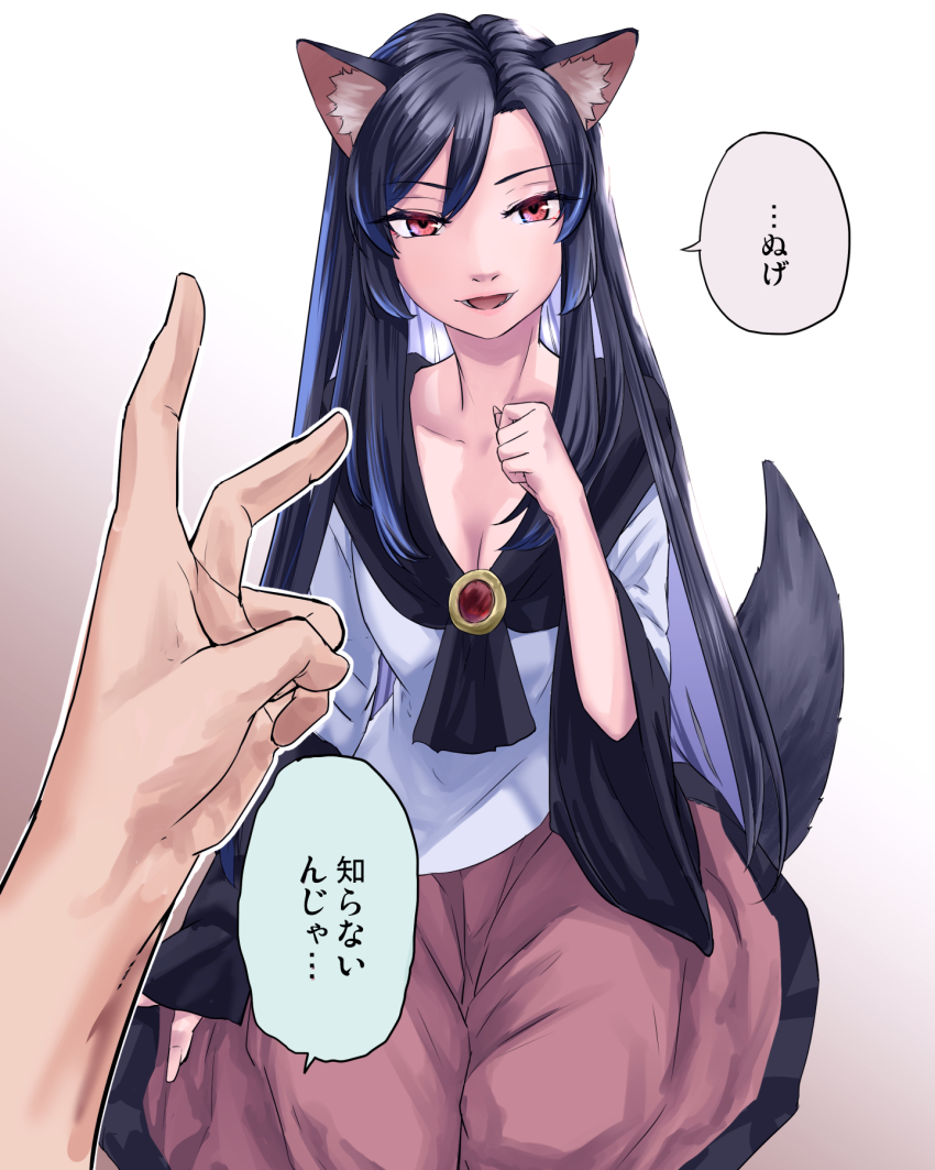 Imaizumi Kagerou (Touhou) Rule 34 Image