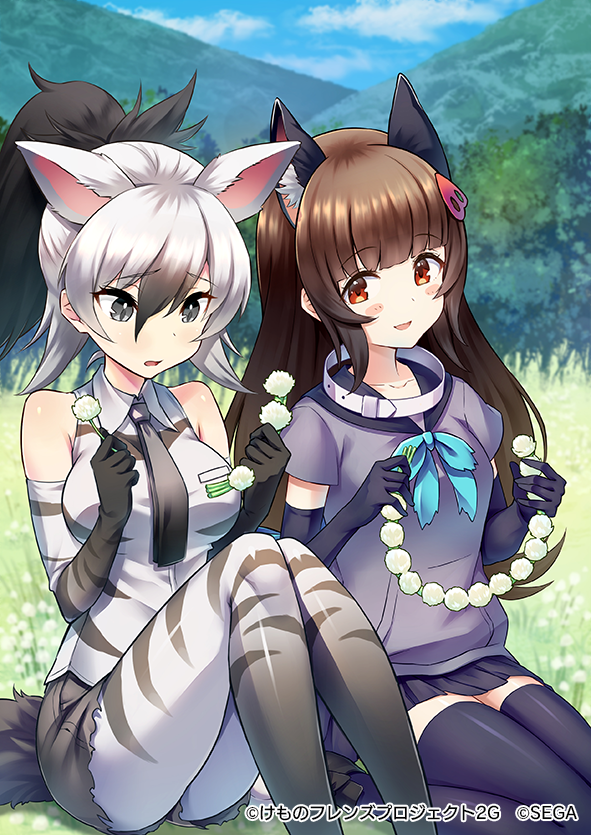 Aardwolf (Kemono Friends) Rule 34 Image