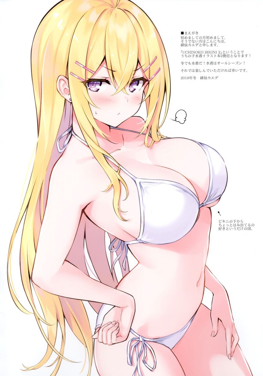 Hakurei Botan (Cu-No) Rule 34 Image