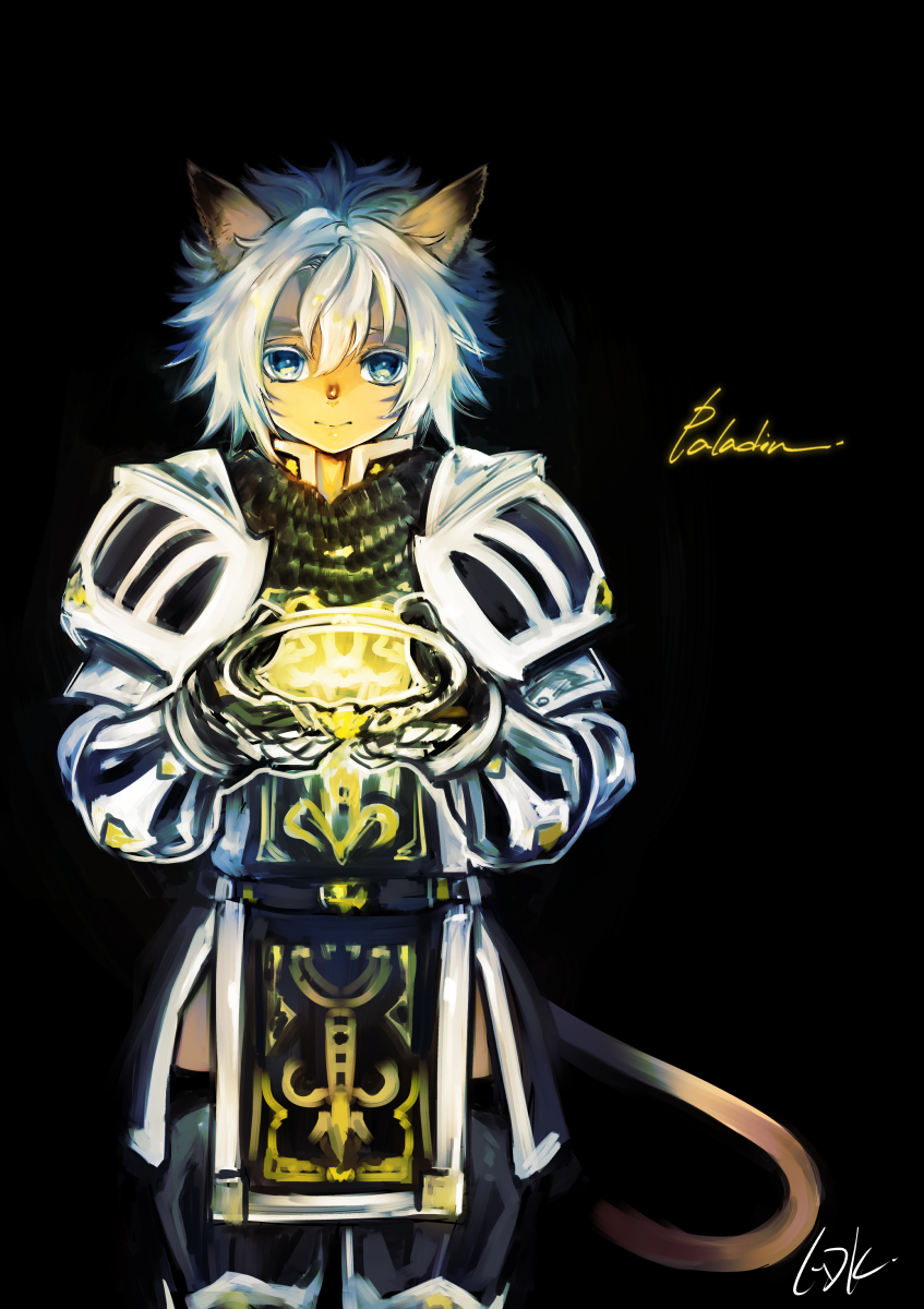 Adventurer (Ff11) Rule 34 Image