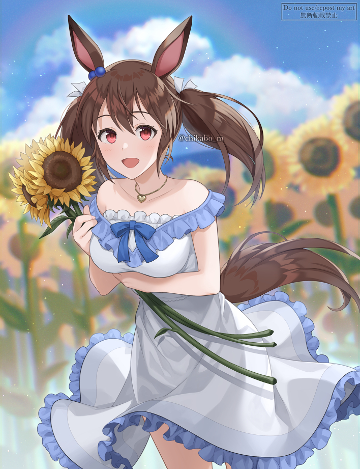 Hishi Akebono (Umamusume) Rule 34 Image